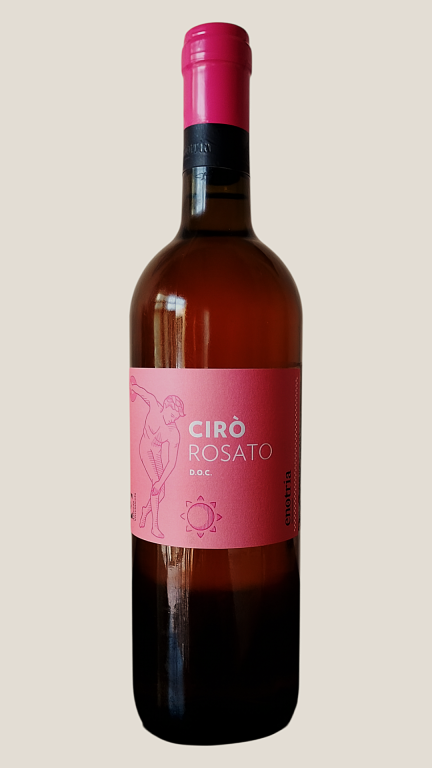 Foto piatto